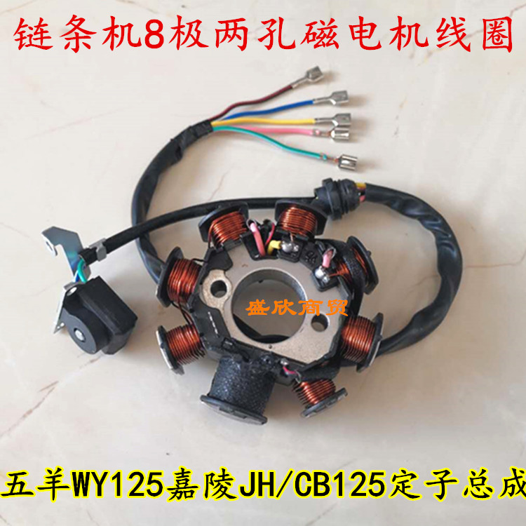Motorcycle parts WY125 Jialing JH CB125 Magneto coil chain machine 8 pole two hole stator assembly
