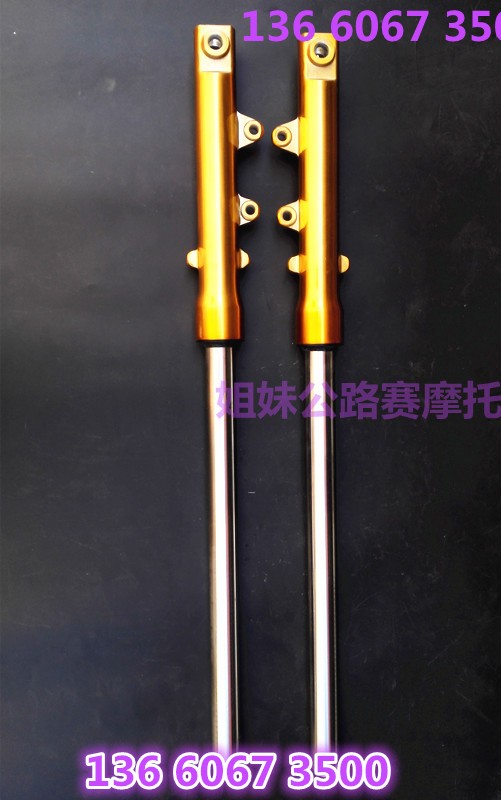 Đường đua cạnh tranh phụ kiện giảm xóc Golden Eagle horiz R2 phanh đĩa đôi Xunlong S trước phuộc trước - Xe máy Bumpers giảm xóc xe máy giá rẻ	