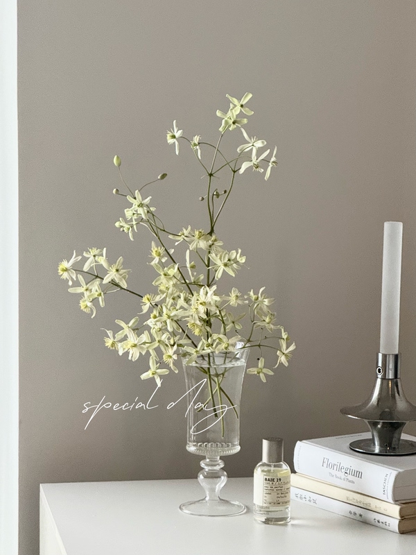 Special Day Glass Vase ins Style Transparent Glass Vase