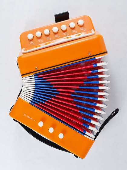 入门儿童手风琴玩具初学乐器早教音乐启蒙宝宝礼物迷你送教程