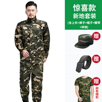 Комплект, шапка, ремень, футболка