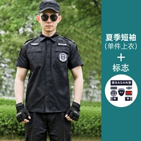 Летние короткие рукава [одиночный топ+логотип]