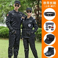 Демисезонный лонгслив, штаны, ремень, шапка, тканевые туфли