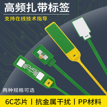RFID electronic tag chip plastic seal UHF high frequency radio frequency cable tie oil tanker logistics anti-theft fake tag