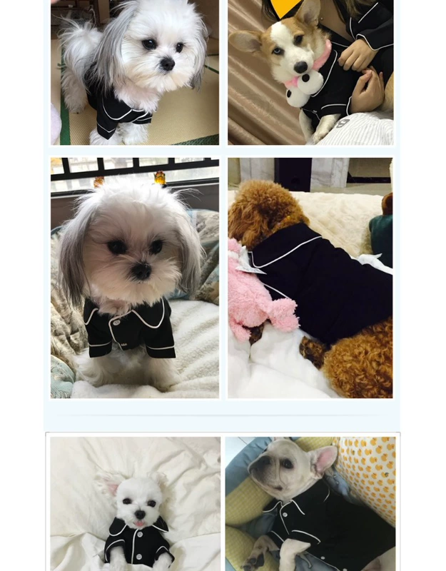 chó Pháp Hàn Quốc quần áo chân Teddy VIP Bichon trong bộ đồ ngủ quần áo mùa hè nhỏ thơm mùa hè gió quần áo vật nuôi - Quần áo & phụ kiện thú cưng