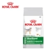 Thức ăn cho chó hoàng gia Thực phẩm tiệt trùng MSA30 thức ăn cho chó nhỏ dành cho chó trưởng thành 2kg Teddy thức ăn cho chó trưởng thành - Chó Staples thức ăn hạt mềm zenith cho chó Chó Staples