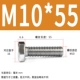 M10*55 (20)