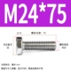 M24*75 (2)