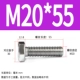 M20*55 (5)