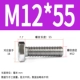 M12*55 (10)