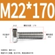 M22*170 (1)