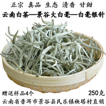 Yunnan white tea Jinggu big white single bud tip ancient tree White Silver Needle spring tea 250g producing area Puer buds