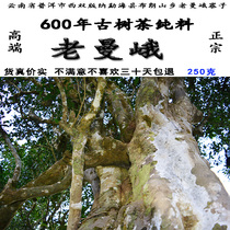 Yunnan Puer tea Old Mane tea Arbor ancient tree tea pure material scattered tea ecological tea spring tea spring tea 250 grams