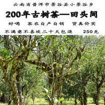 Yunnan Puer Old Tree Tea Scattered Tea Ecological Tea Spring Tea Spring Tea Farmhouse Tea 250g Origin Direct Selling Good Drinking Cheap