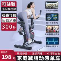 Olde Dynamic Cycling Home Fitness Bike Room Ultra Silent Sports Equipment Small Weight Loss Bike