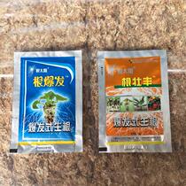 Root Sun Series-Root Explosive Rooting-10ML (for rooting)