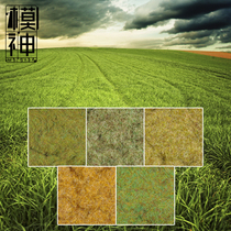 Model God Model Scene Sand Disc Construction Simulation Grass Lawn Grass Lawn Grass Needle DIY Turf material Natural raw wild grass powder