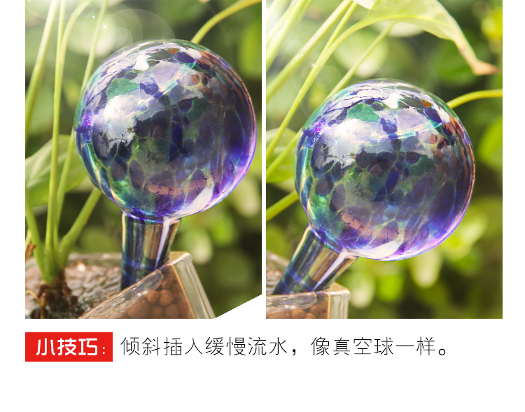 MZL彩盒包装浇花器2只装6*15cm玻璃圆形浇水150ml小号家用