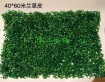 Fish Tank Build-Up Decoration Plastic Emulation Fake Turf Decorative Greens