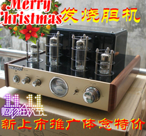 New listing bookshelf power amplifier fever NE-09S hifi bile machine Electronic Tube bile machine power amplifier fever power amplifier
