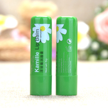 Small chamomile lip balm 5G colorless anti-chapped lips decolorization non-colored mild lip balm for winter women