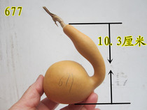 Natural shaped snake gourd wand play spot number 677