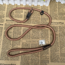 One-piece rope for pet competition training Nylon P chain Free movement neck ring Leash