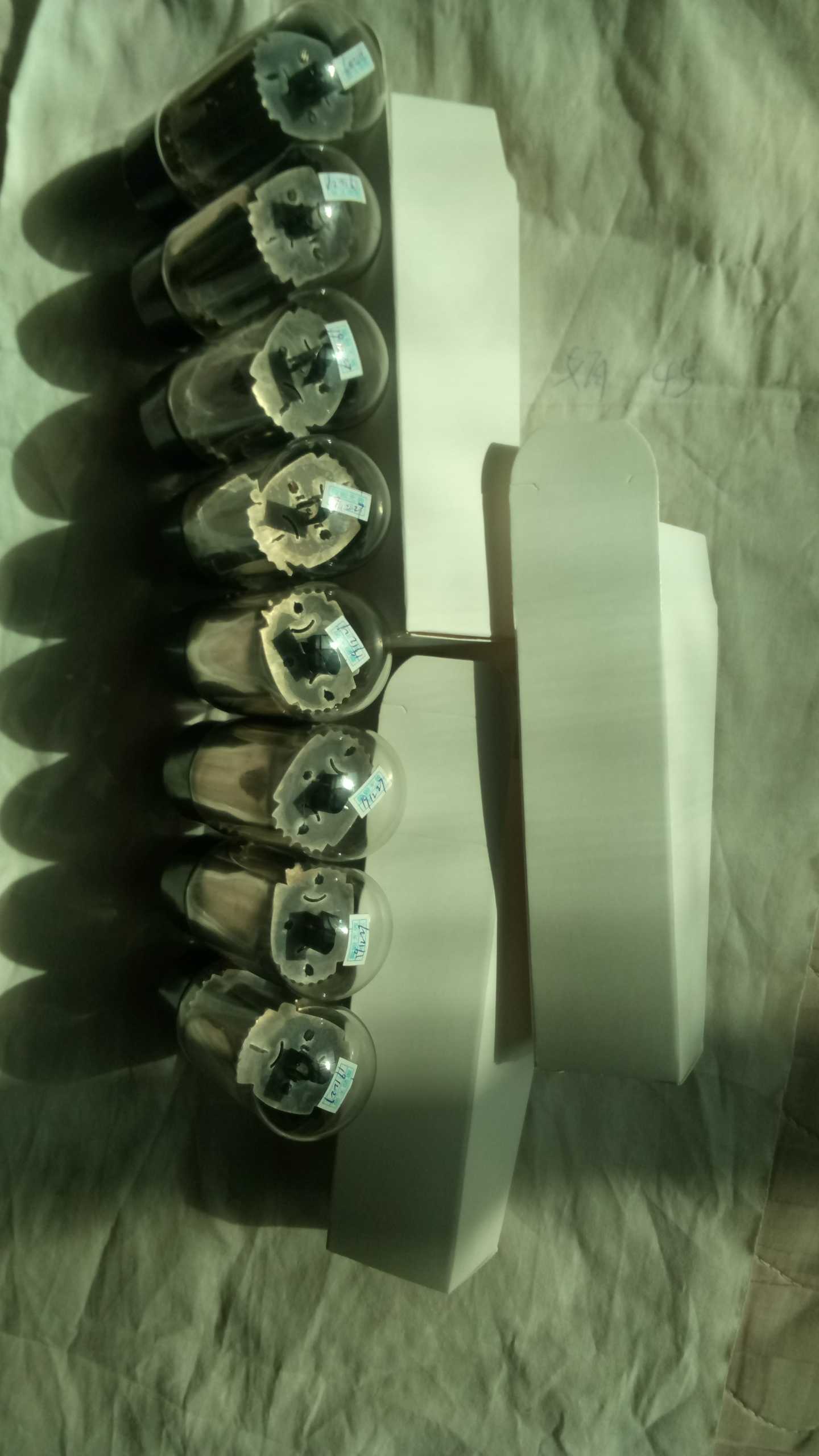 Vacuum tube toxic sound 5881 6L6 can be straight generation electric guitar Marshall 5881