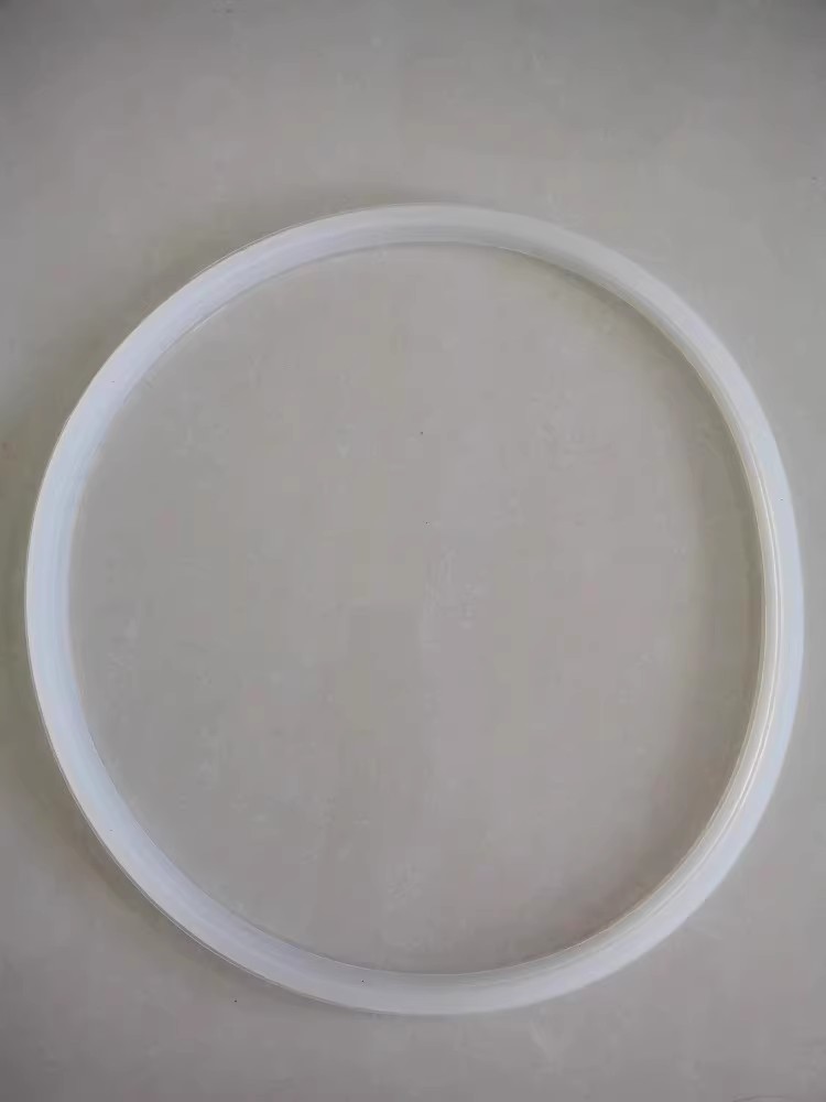上海博迅原厂YXQ-100A立式压力蒸汽灭菌器高压消毒锅8#密封圈