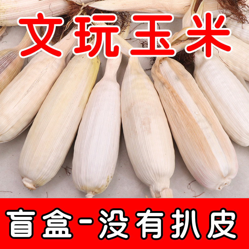Collectible Small Corn and Small Agate Red Hand-Held Ornaments, Purely Natural and Rare Niche Items, Small Corn Blind Box Materials Collectible Small Corn and Small Agate Red Hand-Held Ornaments, Purely Natural and Rare Niche Items, Small Corn Blind Box Materials
