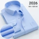 2026 Синяя косой линия