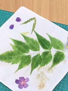 Back-To-School Season Gift: DIY Tool Set for Traditional Plant Leaf Printing and Stamping Crafts for Kindergarten