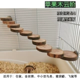 Игрушка из натуральных фруктов деревянная попугая кусает лестницу на платформе, птица -хомяк снабжает тигровой пиони, Xuanfeng