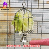 Импортированный попугай, кормящий фрукты и овощи, птичья клетка, головоломка, жевательная игрушка, маленькая и средняя коробка для еды пиона Xuanfeng