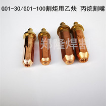 G01-30 G01-100 cutting torch mouth propane cut mouth acetylene cut with plum flower type gas nozzle
