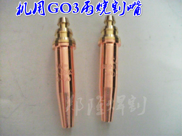 G03 isobaric propane cutting nozzle flower-shaped cutting nozzle two-piece cutting nozzle gas cutting nozzle g02 for acetylene machine