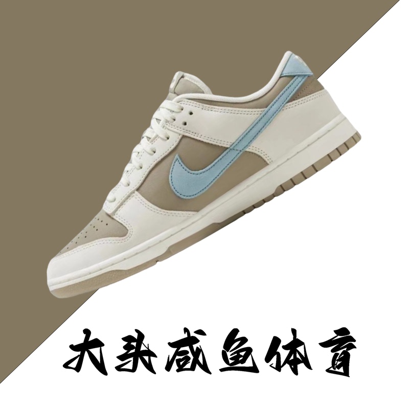 Nike Dunk Low Nike Unisex Low-Top Dunk Sneakers White Brown Blue Hq1175-240 Nike Dunk Low Nike Unisex Low-Top Dunk Sneakers White Brown Blue Hq1175-240