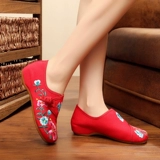 Обувь, танцующие этнические туфли, для среднего возраста