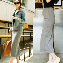 Spring and autumn thin pregnant women spring dress 2021 New medium long Korean version of long skirt loose size autumn skirt