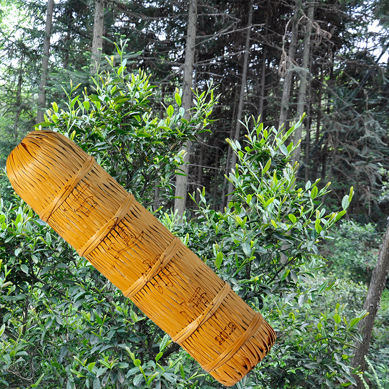 1st class boutique ancient Taoist master 40 Two Gaojia Creek Majia Creek Old Tree spelled Anhua Black Tea High Horse Wilderness Mountain Wild