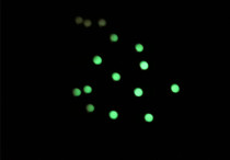 Watch accessories Labor water Ghost series night Pearl outer ring luminous point water ghost beads ceramic luminous spot