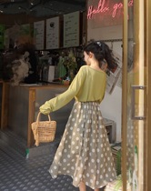 (Favorite Special Offer) Fan Squad Mung Bean Smoothie Versatile Elastic Skirt with Green Bean Paste and Big Polka Dots