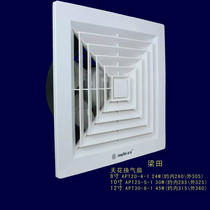 Liangtian 10 inch 250m ceiling in-line ventilation fan kitchen bathroom ceiling silent APT25-5-1 exhaust fan