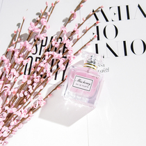 Simulation green plant fake flower spring plum Chinese style photo photography props background Home decoration ornaments vase flower arrangement