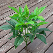 Single simulation green plant set green leaf bonsai potted decorative plant plastic fake leaf wedding soft dress fake green plant