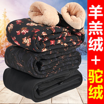 Old man cotton pants female grandmother loose camel velvet outside wear middle-aged thickened cashmere winter mother pants