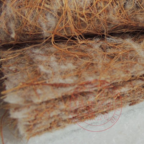 ʢ�ƺͷ紲�汾������ϯ���޷�����˿о