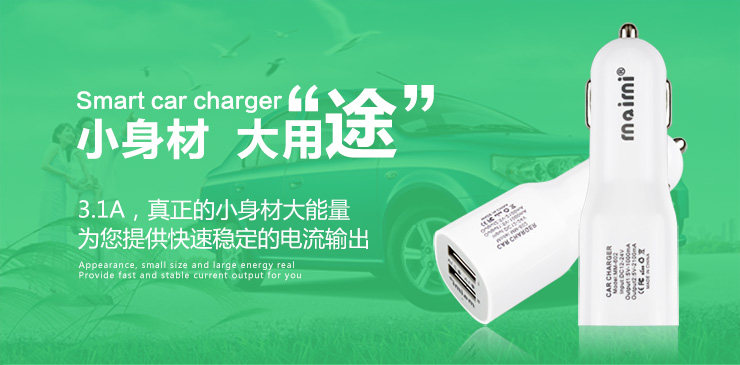 chargeur 2.1A - Ref 1302156 Image 4