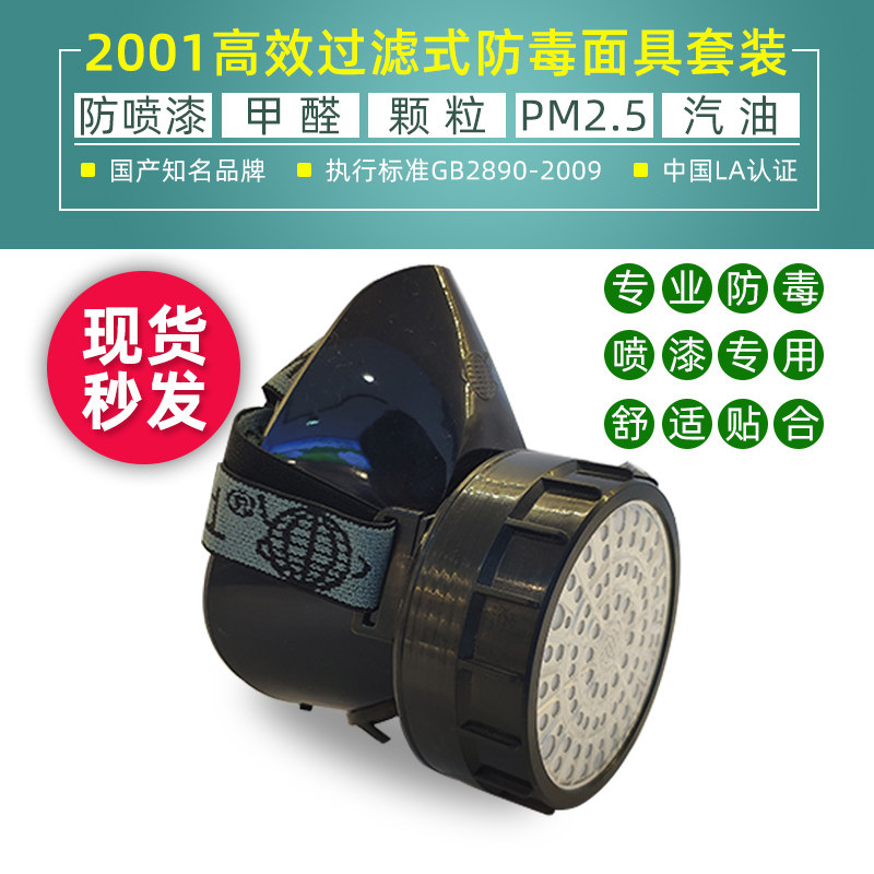 Earth Card 2001 Anti-Poison Mask Anti-Spray Paint Chemical Pesticide Decoration Polished Peculiar Smell Formaldehyde Protective Mask