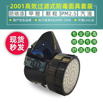 Earth Card 2001 Anti-Poison Mask Anti-Spray Paint Chemical Pesticide Decoration Polished Peculiar Smell Formaldehyde Protective Mask